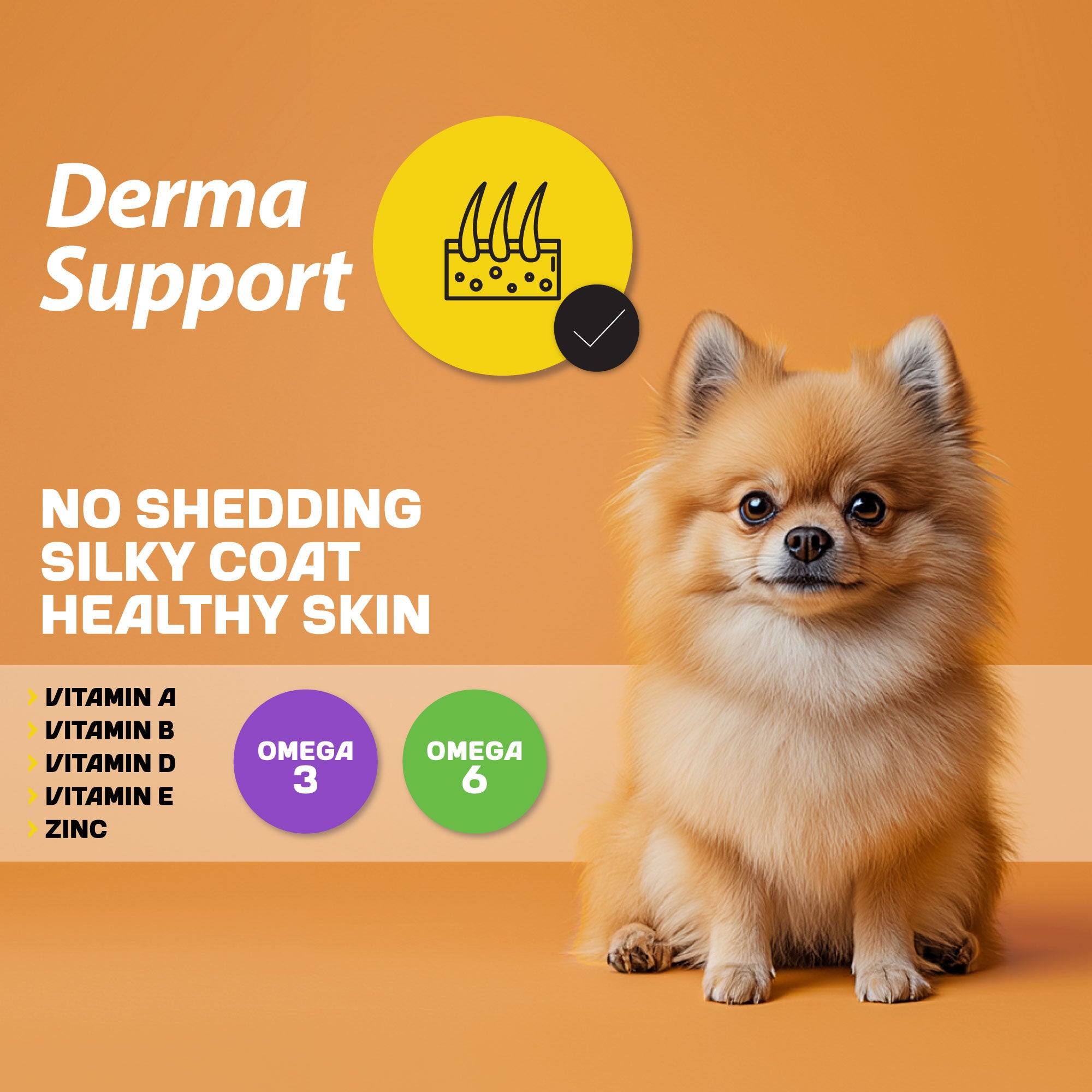 A little beige dog sitting next to an infographic about derma support, detailing its benefits and nutritional aspects.