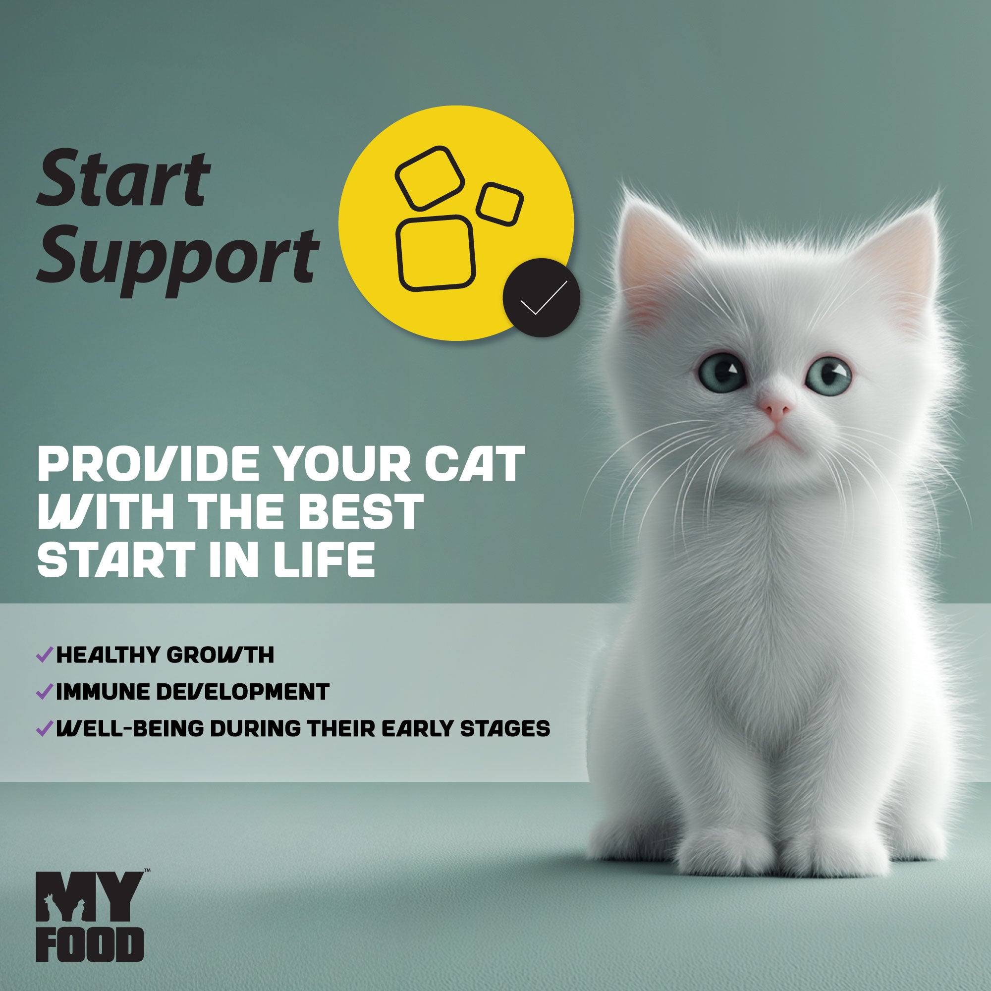 A white kitten sitting next to an infographic about Start Support and its effects on kittens.