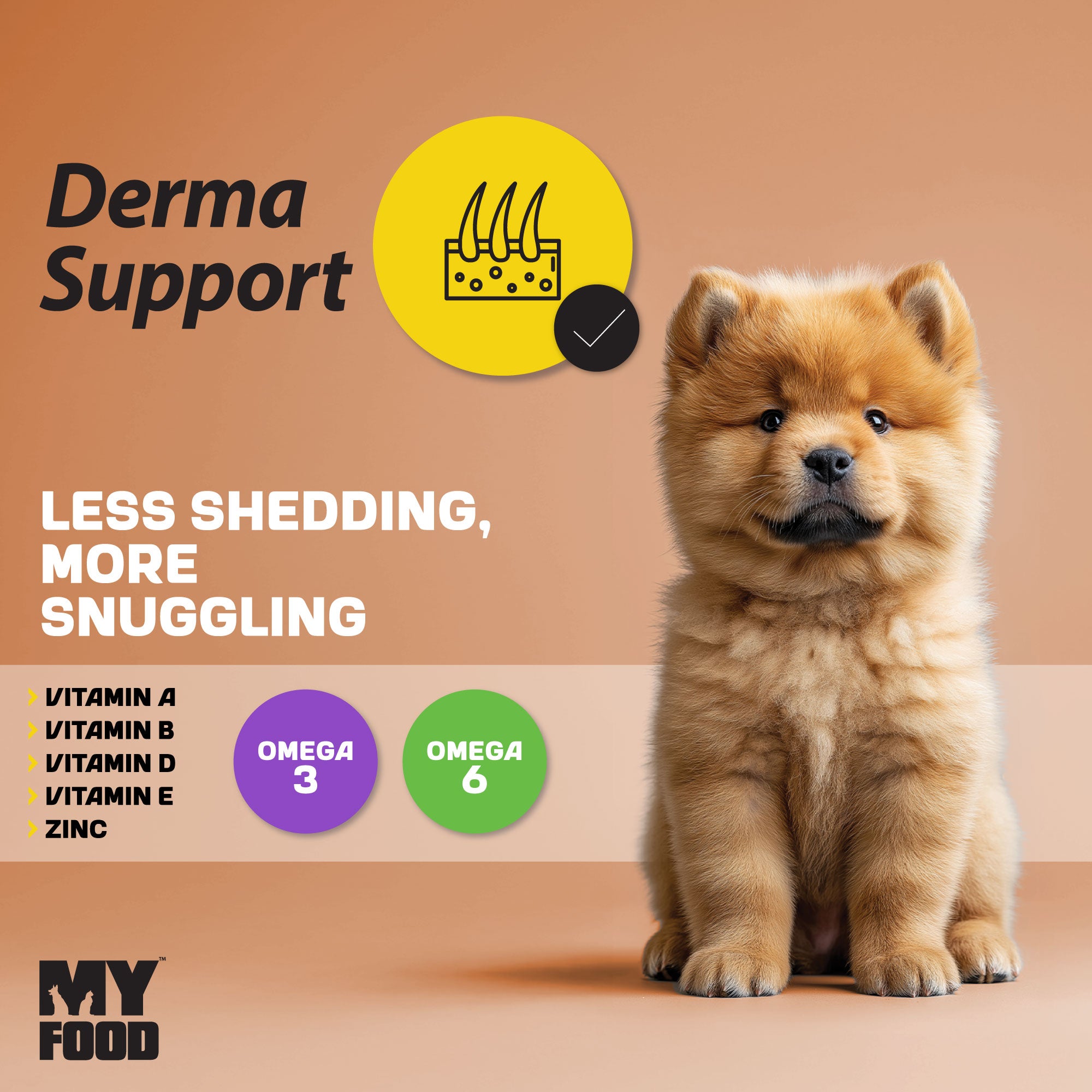 A fluffy golden-colored puppy sitting next to an infographic detailing the benefits and elements of derma support.