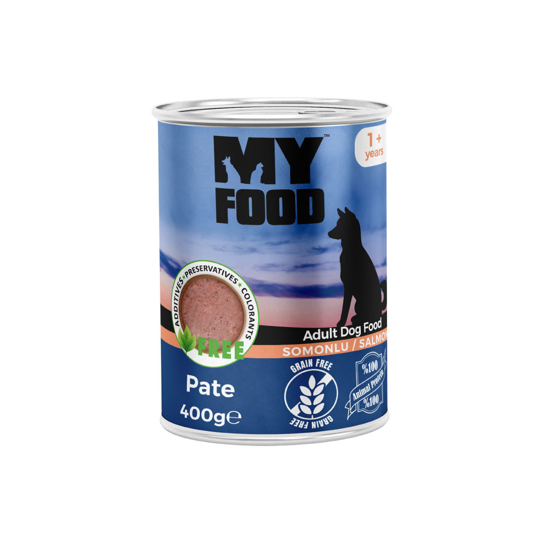 Can of MyFood wet dog food with salmon flavor on a white background.