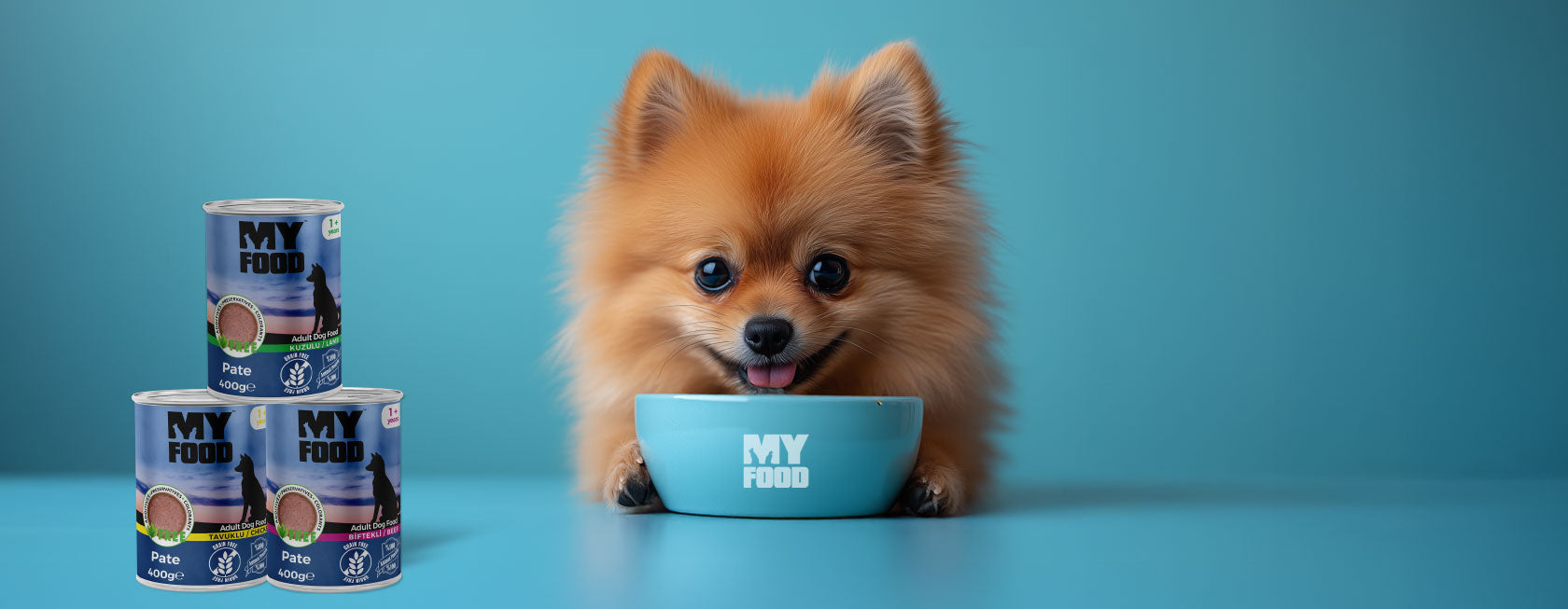 Small dog with a blue bowl and cans of MyFood on a blue background.